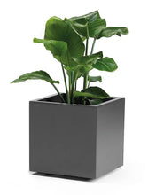 Carica l'immagine nel visualizzatore di Gallery, Vaso kebe greener cubo quadro euro3plast