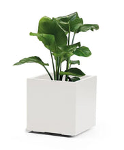 Carica l'immagine nel visualizzatore di Gallery, Vaso kebe greener cubo quadro euro3plast