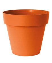 Carica l'immagine nel visualizzatore di Gallery, VASO MITU PAC CON FORI