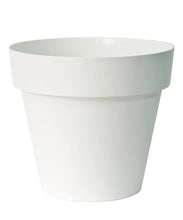 Carica l'immagine nel visualizzatore di Gallery, VASO MITU PAC CON FORI