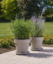 Carica l'immagine nel visualizzatore di Gallery, VASO MITU PAC CON FORI