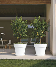 Carica l'immagine nel visualizzatore di Gallery, VASO MITU PAC CON FORI