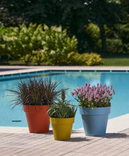 Carica l'immagine nel visualizzatore di Gallery, VASO MITU PAC CON FORI