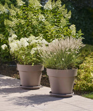 Carica l'immagine nel visualizzatore di Gallery, VASO MITU PAC CON FORI