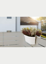 Carica l'immagine nel visualizzatore di Gallery, cassetta be up