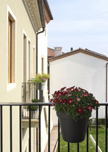 Carica l'immagine nel visualizzatore di Gallery, VASO BE UP