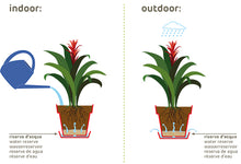 Carica l'immagine nel visualizzatore di Gallery, VASO UP