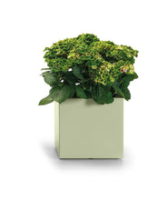 Carica l'immagine nel visualizzatore di Gallery, Vaso kebe greener cubo quadro euro3plast