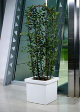 Carica l'immagine nel visualizzatore di Gallery, VASO QUADRO CUBO SIEPI EURO3PLAST