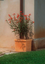 Carica l'immagine nel visualizzatore di Gallery, VASO QUADRO CUBO SIEPI EURO3PLAST