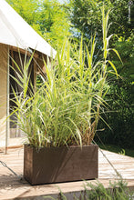 Carica l'immagine nel visualizzatore di Gallery, FIORIERA E CUBO MILLENNIUM