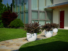 Carica l'immagine nel visualizzatore di Gallery, VASO ETRIA UNO