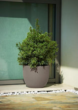 Carica l'immagine nel visualizzatore di Gallery, VASO ETRIA UNO