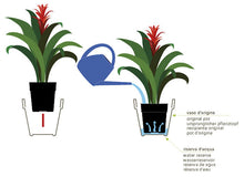 Carica l'immagine nel visualizzatore di Gallery, VASO ETRIA UNO