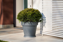 Carica l'immagine nel visualizzatore di Gallery, VASO IKON