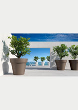 Carica l'immagine nel visualizzatore di Gallery, VASO IKON