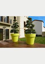 Carica l'immagine nel visualizzatore di Gallery, VASO IKON