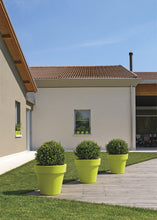 Carica l'immagine nel visualizzatore di Gallery, VASO IKON