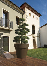 Carica l'immagine nel visualizzatore di Gallery, VASO IKON