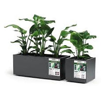 Carica l'immagine nel visualizzatore di Gallery, fioriera kebe greener rettangolare euro3plast