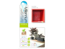 Carica l'immagine nel visualizzatore di Gallery, FIORIERA E CUBO MILLENNIUM