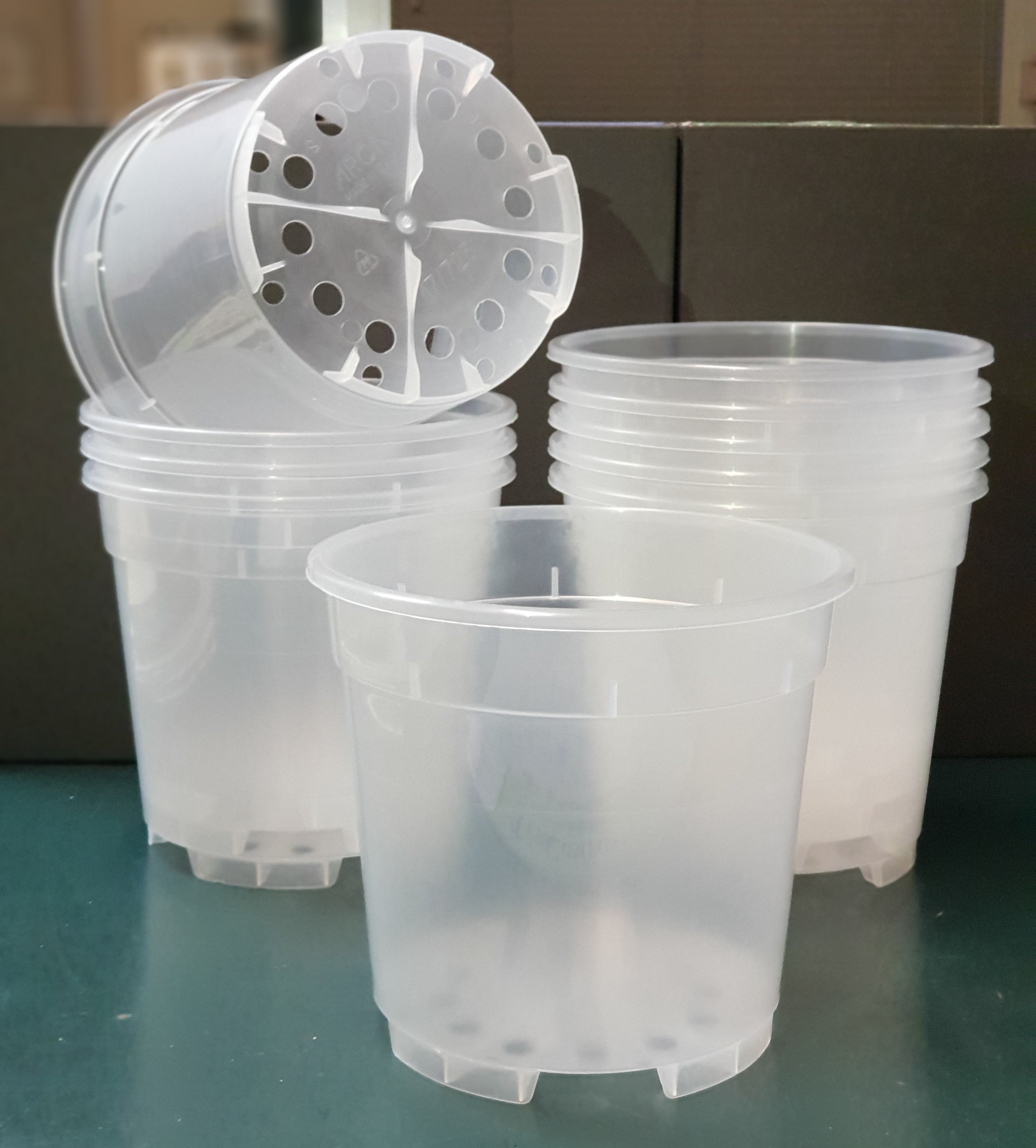Confezione 5 Vasi Autoirriganti Trasparenti 10,9 Cm | Plastica Ecologica Per Piante Da Interno | Per Orchidee, Violette Africane, Edera | Salva Tempo E Ideali Per Ufficio