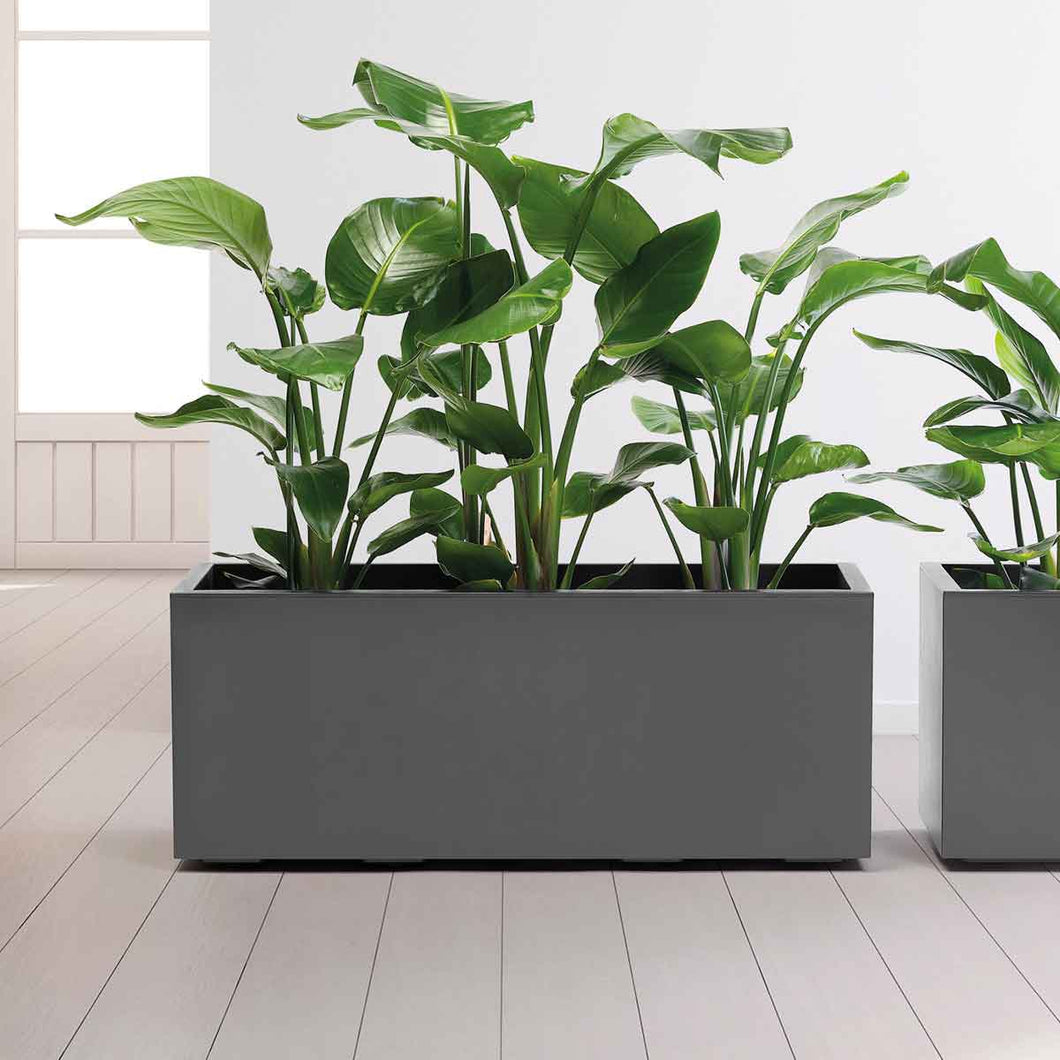 CASSETTA E VASO CON RISERVA E RUOTE KEBE GREENER