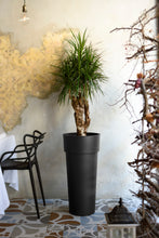 Carica l&#39;immagine nel visualizzatore di Gallery, VASO CON CONTAINER DUO
