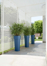 Carica l&#39;immagine nel visualizzatore di Gallery, VASO CON CONTAINER DUO
